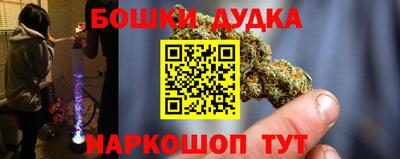 индика Тула