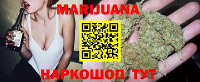 индика Тула