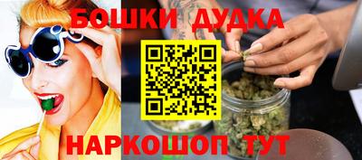 индика Тула