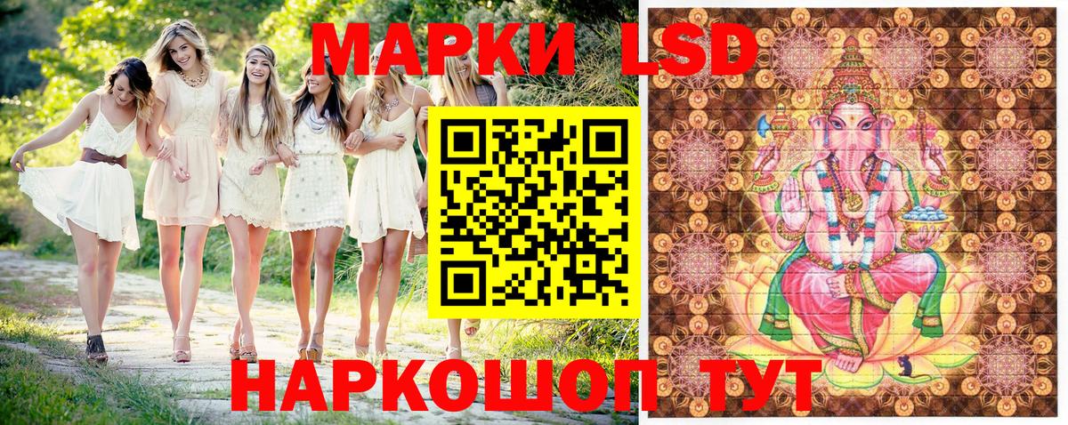 Наркотические марки 1500мкг  Наркотические марки 1500мкг  Сокол  Вход с VPN 