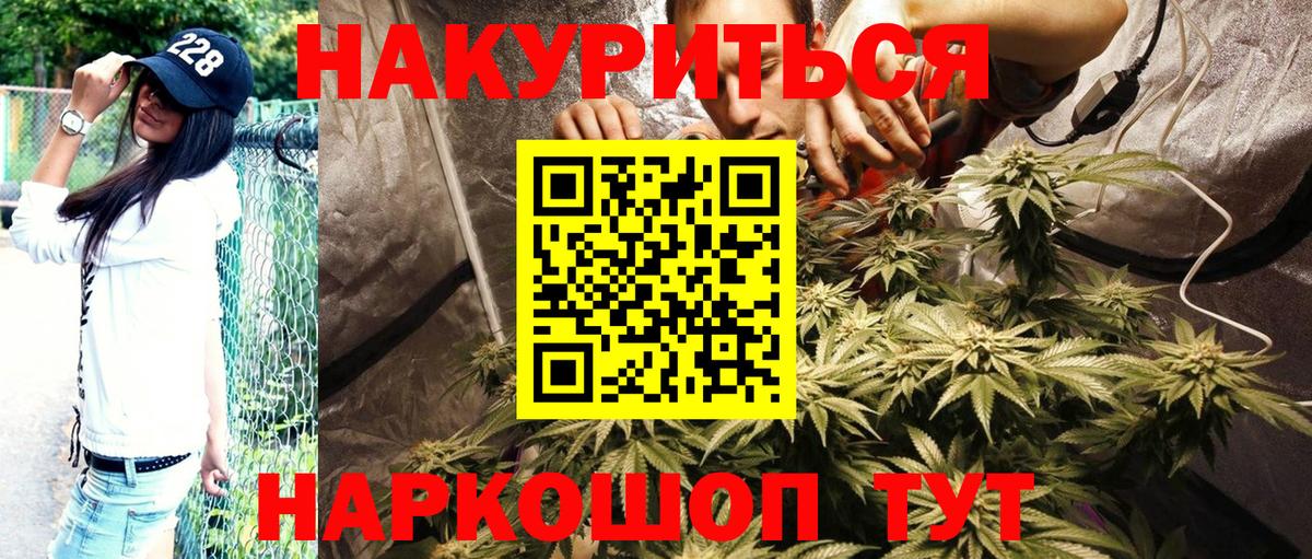 Каннабис SATIVA & INDICA  Вход с VPN  Марихуана Bruce Banner  Сокол  Каннабис Ganja 